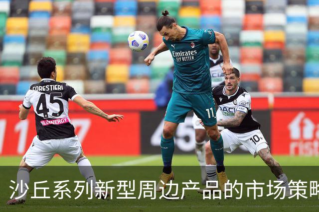 沙丘系列新型周边产品的市场策略分析